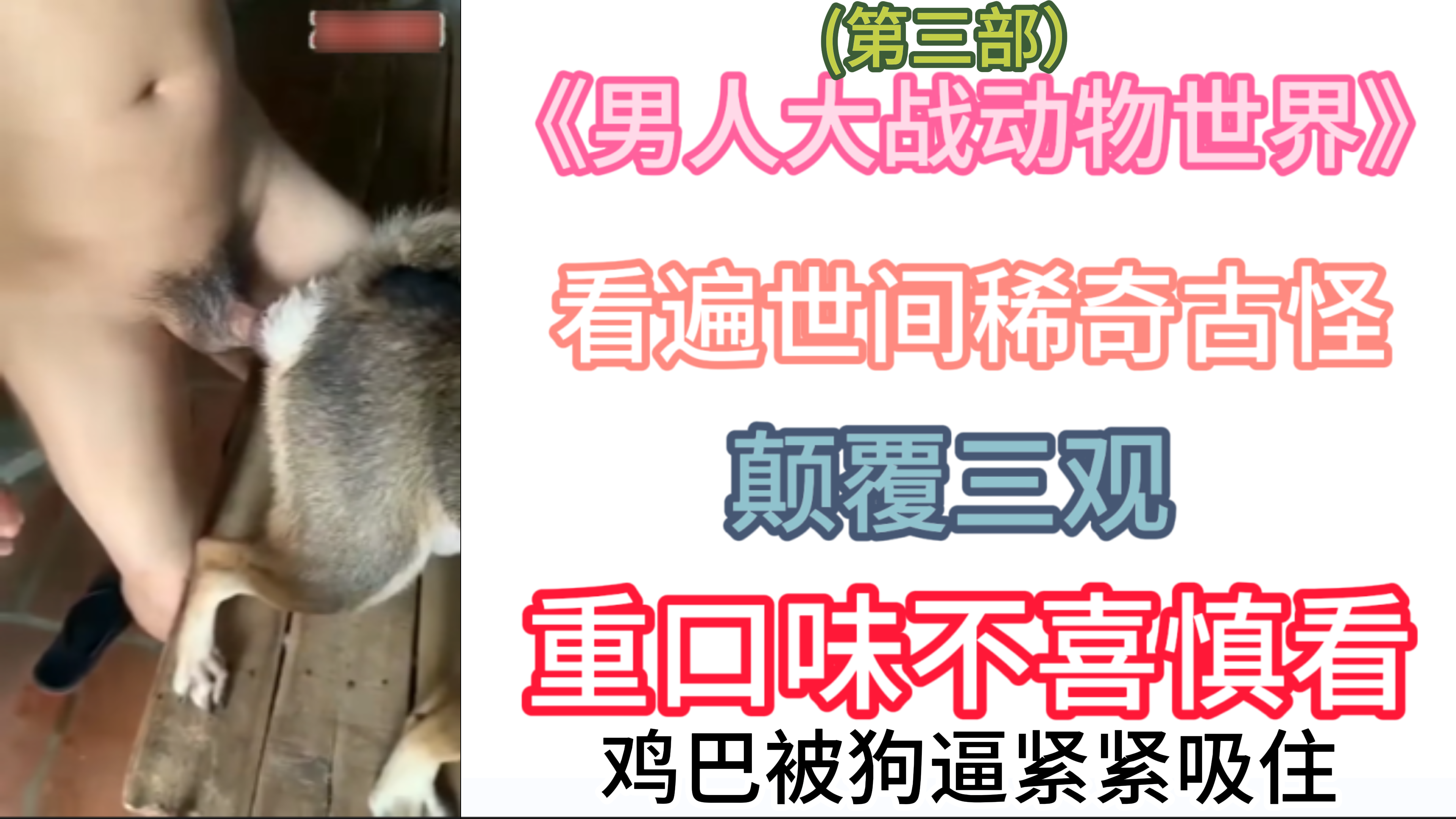 《男人大战动物世界》